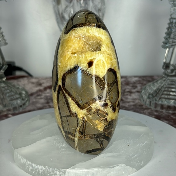 Septarium Freeform - SF01 - Picture 3 of 5